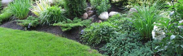 Building the Perfect Flower Bed